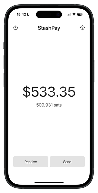 iPhone showing the StashPay app
